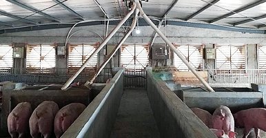 厂房降温设备