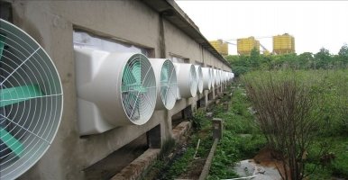降温水帘 对照阅读