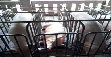 工业排气扇